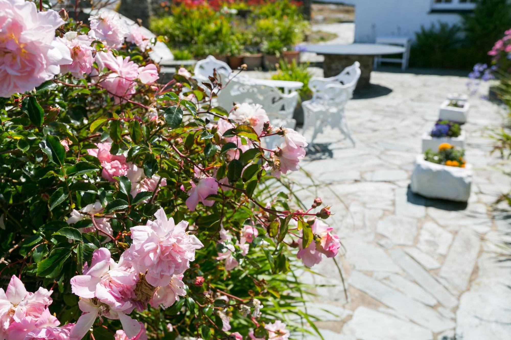 Pen Y Graig Villa Rhoscolyn Екстериор снимка